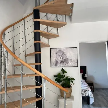Splendide T3 Refait A Neuf A Apartman Figeac